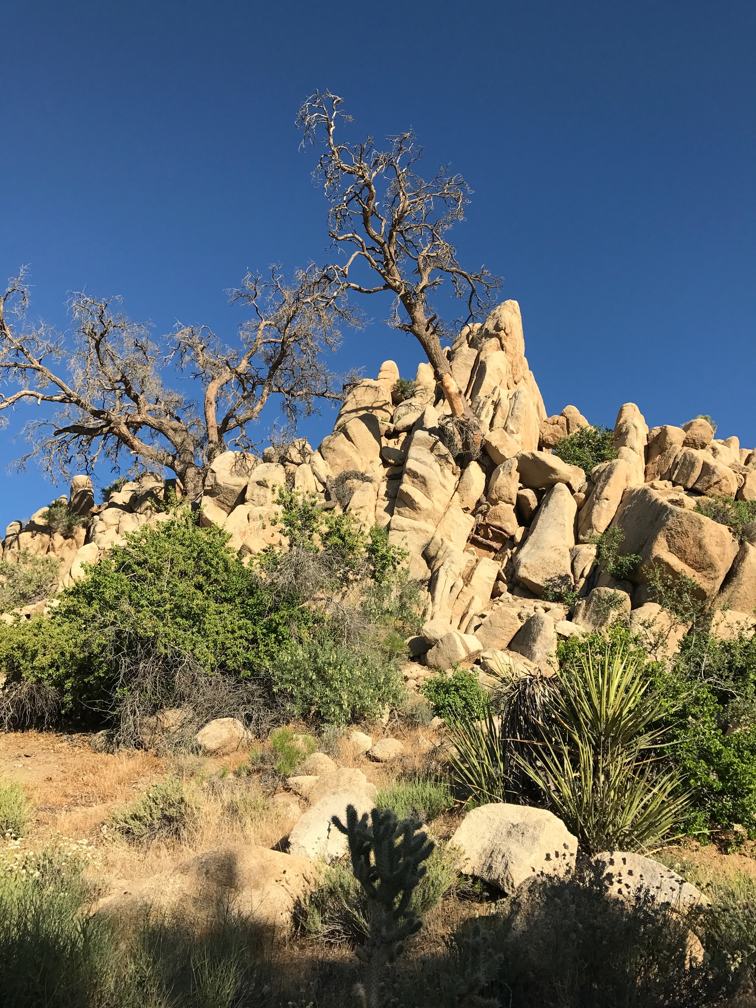 Boulders next to main house